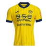 Hellas Verona Fjerde 2024-25 - Herre Fotballdrakt